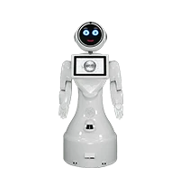 Mini ADA